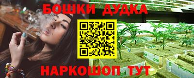 стаф Краснодар