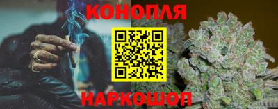стаф Краснодар