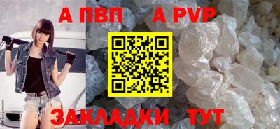 стаф Краснодар