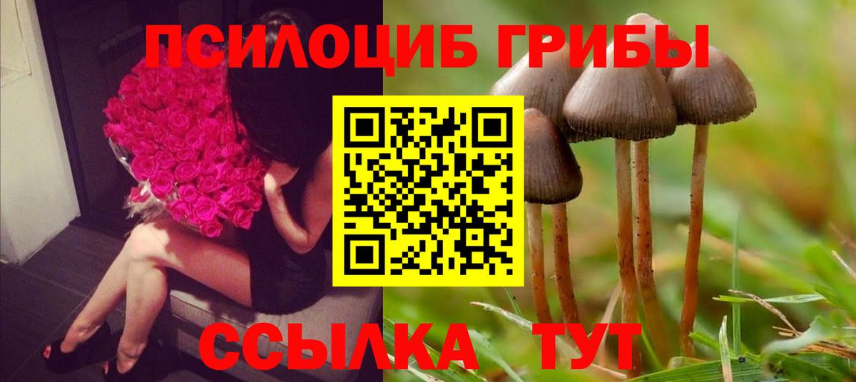 Псилоцибиновые грибы прущие грибы  Вход с VPN  Кимры 